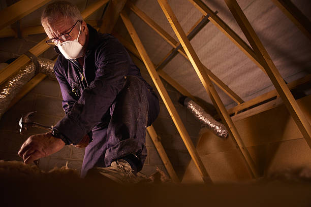 Best Insulation Maintenance and Repair in Colfax, IL