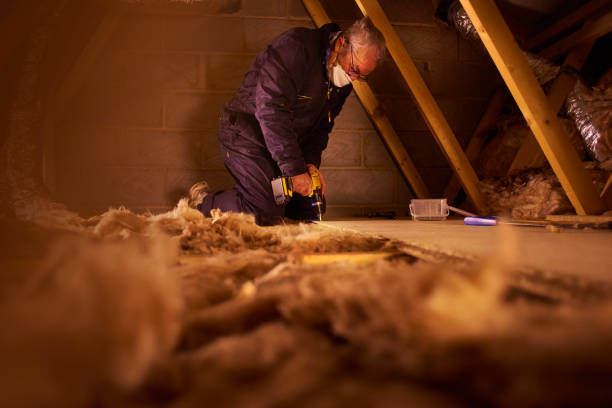 Best Eco-Friendly Insulation in Colfax, IL